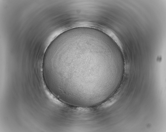 X0000093560954200710291016