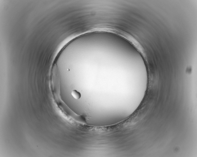 X0000093560955200710291016