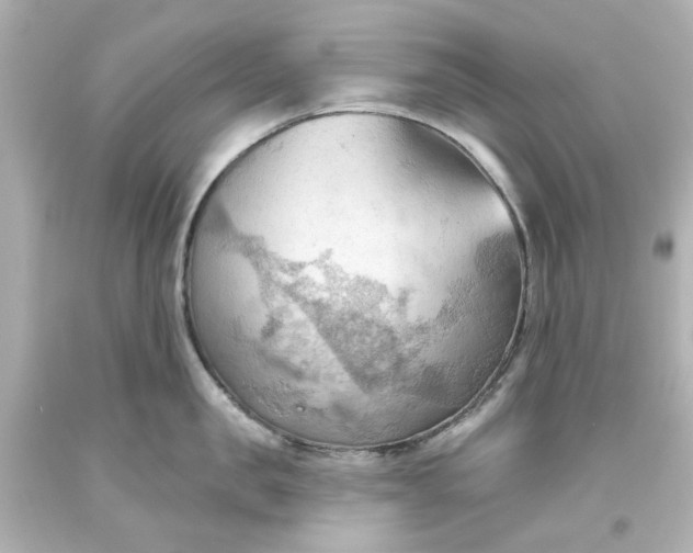 X0000093560957200710291016