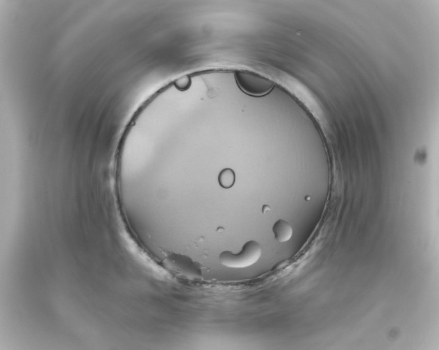 X0000093560958200710291016