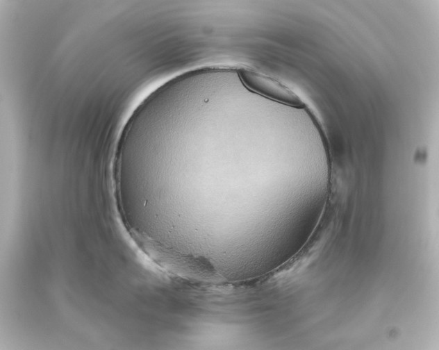 X0000093560959200710291016