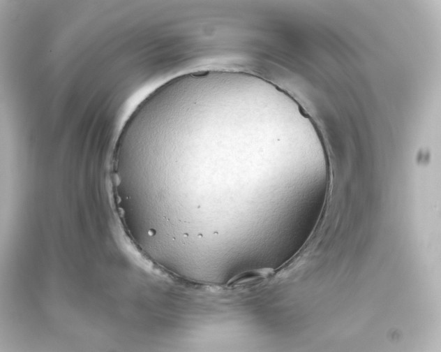 X0000093560960200710291016