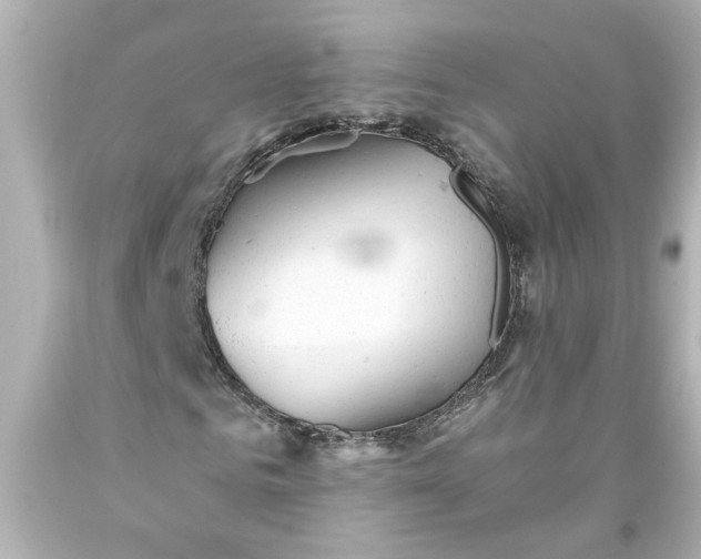 X0000093560961200710291016