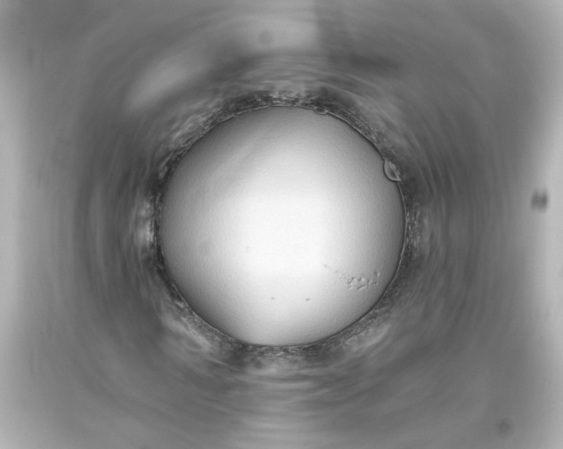 X0000093560962200710291016