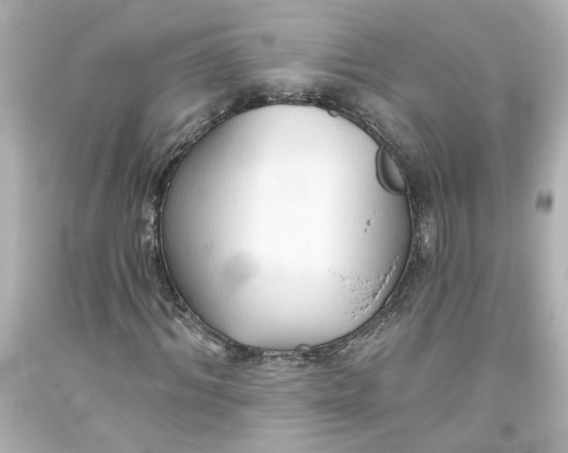 X0000093560964200710291016