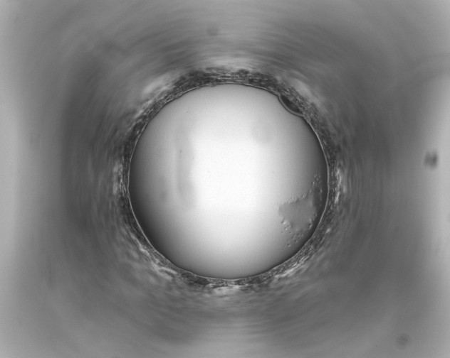 X0000093560965200710291016