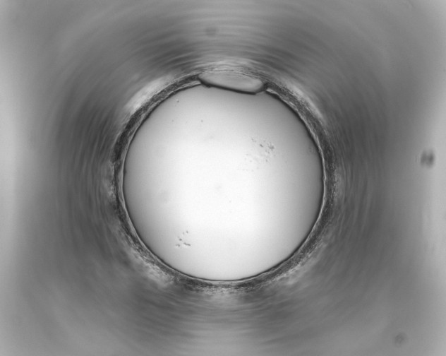 X0000093560970200710291015