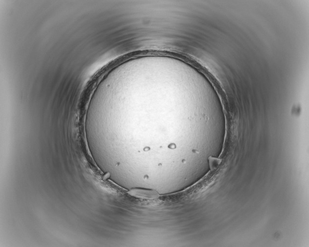 X0000093560971200710291015