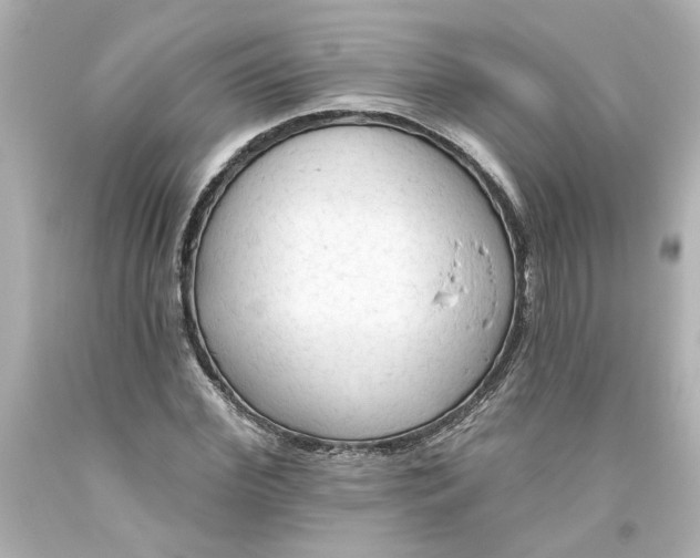 X0000093560972200710291015