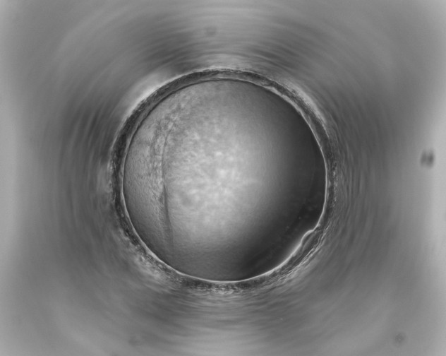 X0000093560975200710291015