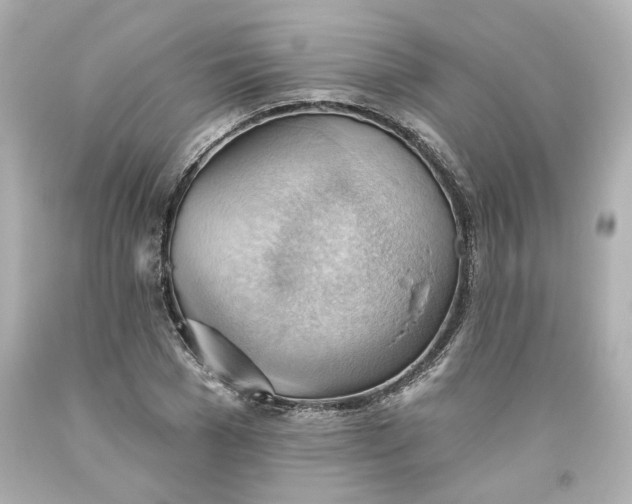 X0000093560977200710291015