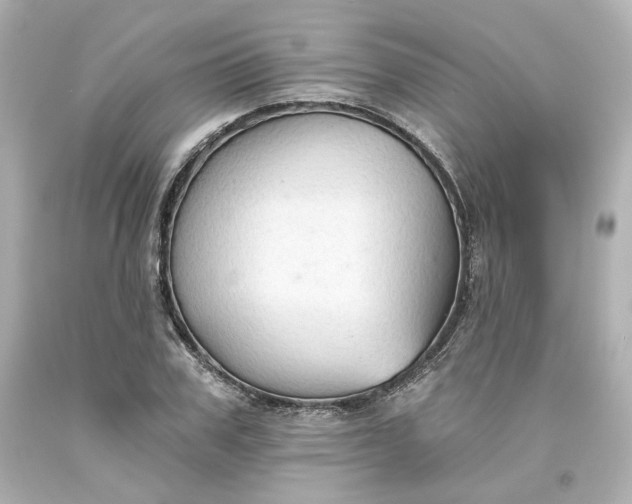 X0000093560979200710291015