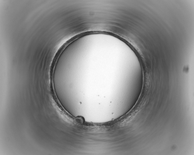 X0000093560980200710291015