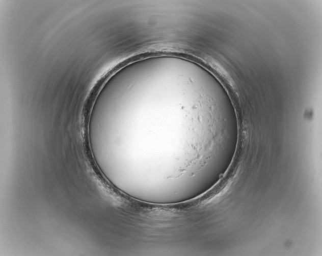 X0000093560981200710291015