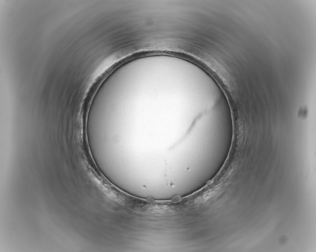 X0000093560982200710291015