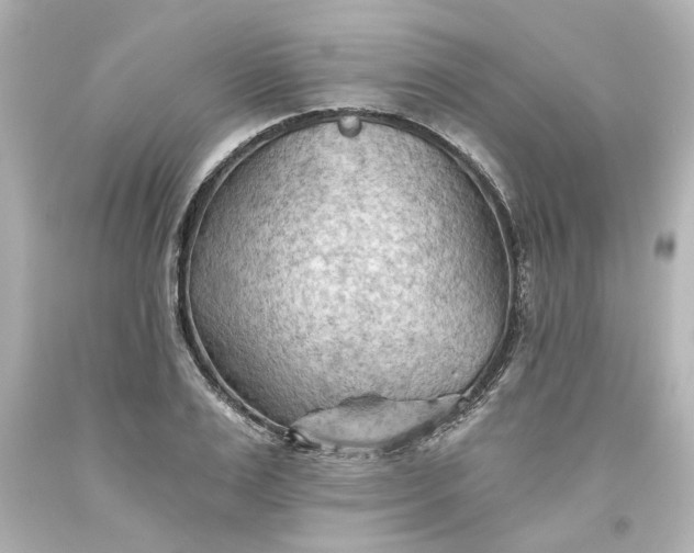 X0000093560983200710291015