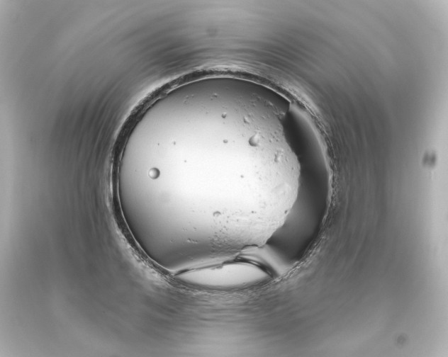 X0000093560984200710291015