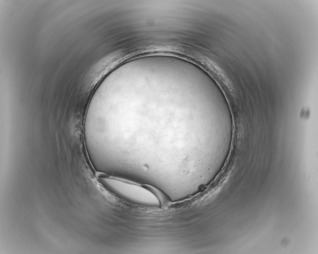 X0000093560985200710291015