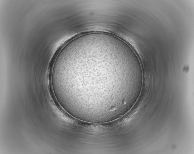 X0000093560987200710291015