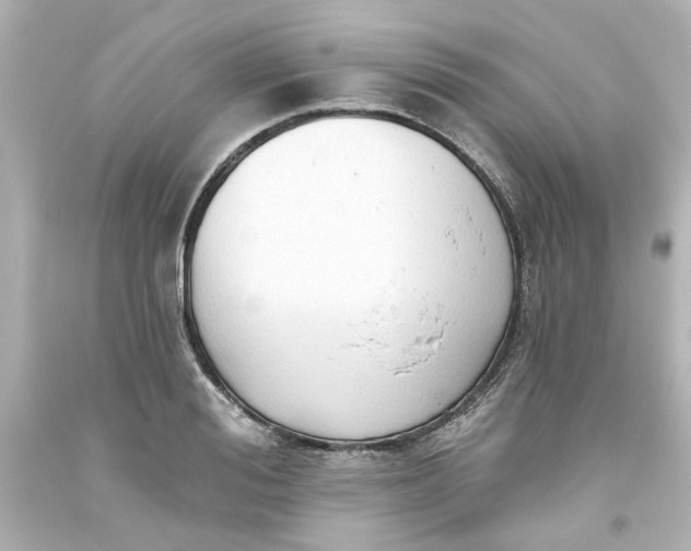 X0000093560988200710291015