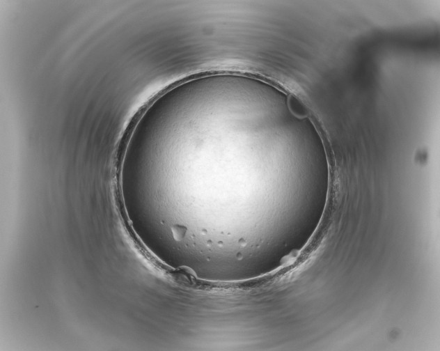 X0000093560989200710291015