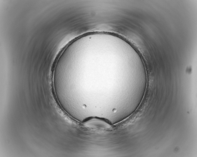 X0000093560990200710291015