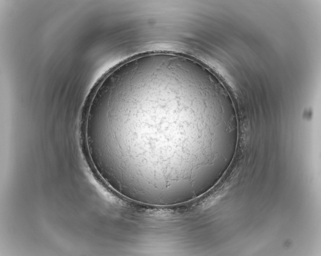 X0000093560991200710291015