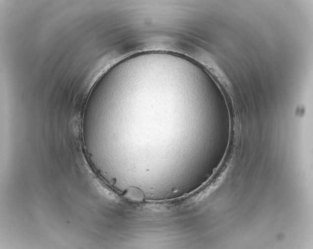 X0000093560993200710291015