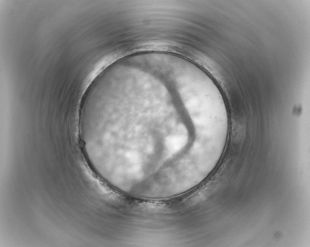 X0000093560994200710291015