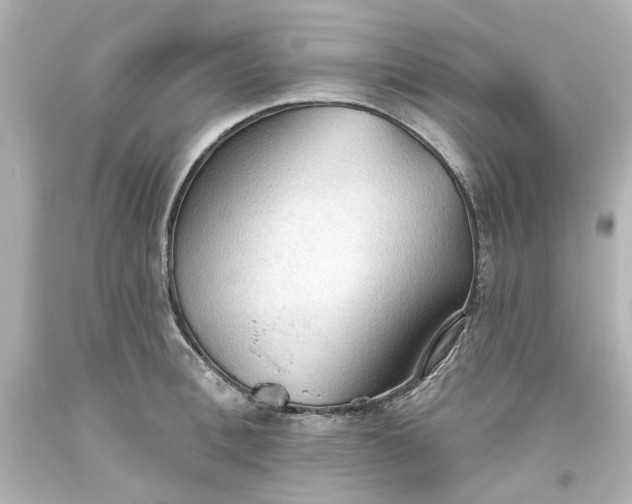 X0000093560996200710291015