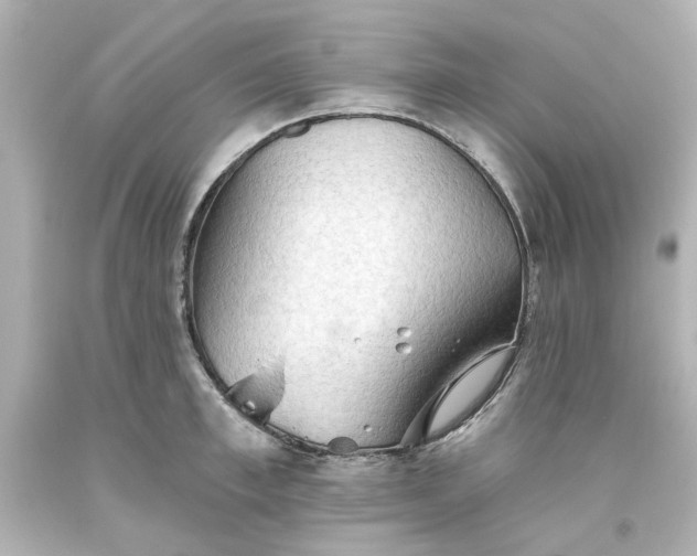 X0000093560997200710291015