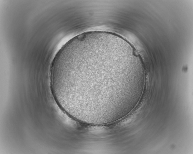 X0000093560998200710291015