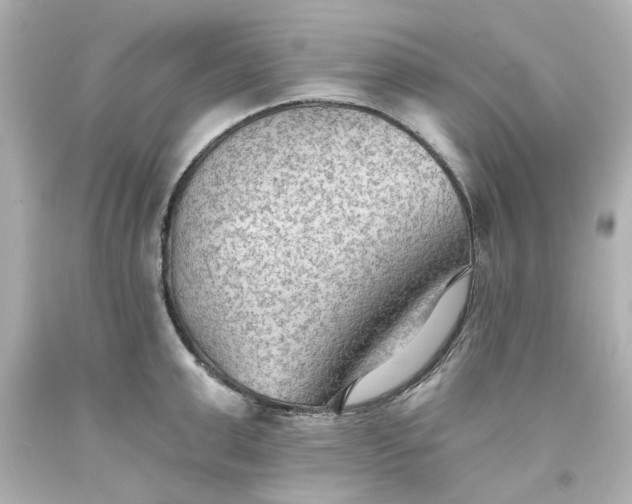 X0000093560999200710291015