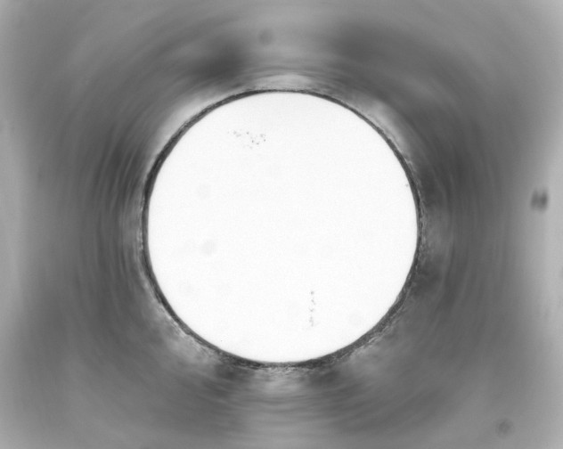 X0000093561000200710291015