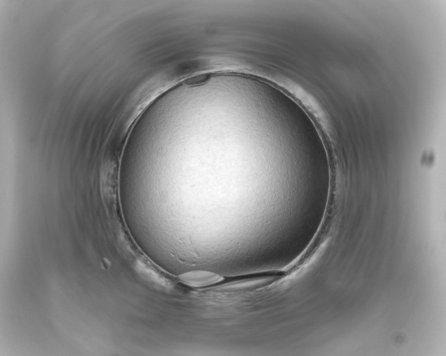 X0000093561001200710291015