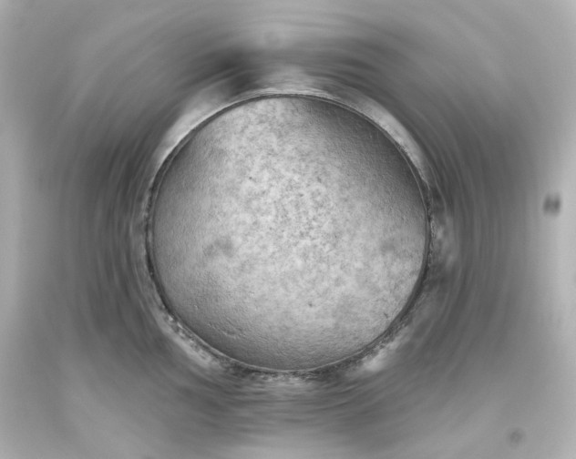 X0000093561002200710291015