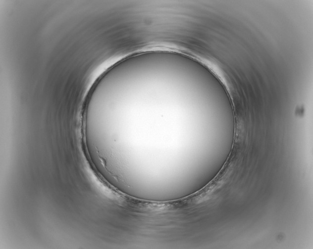 X0000093561003200710291015