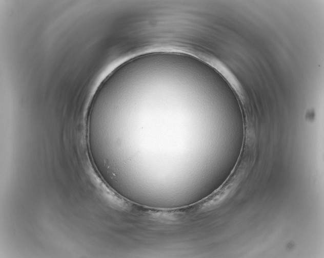 X0000093561004200710291015