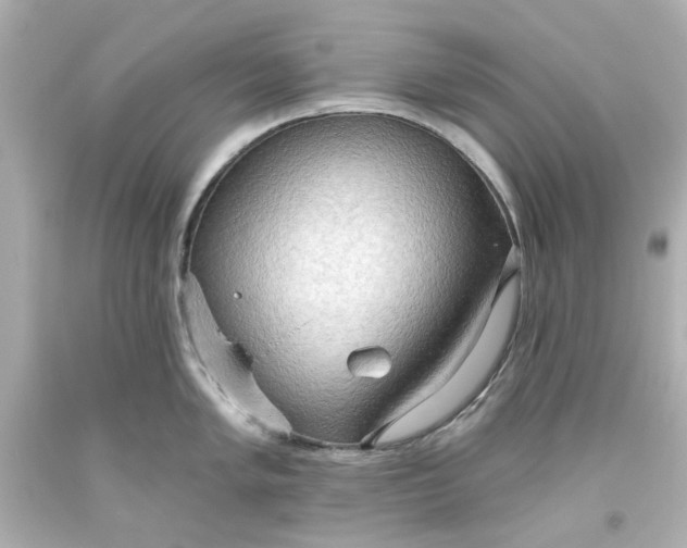 X0000093561005200710291015