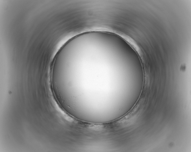 X0000093561006200710291015