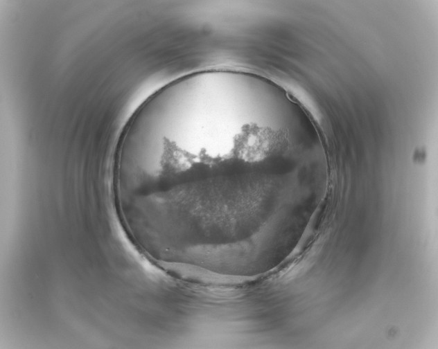 X0000093561007200710291015