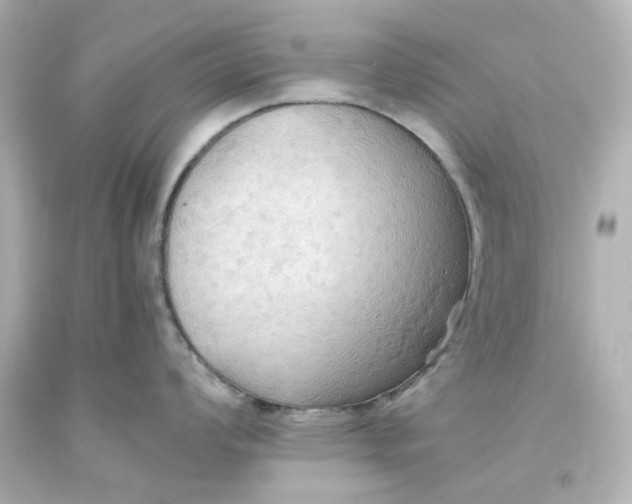 X0000093561008200710291015