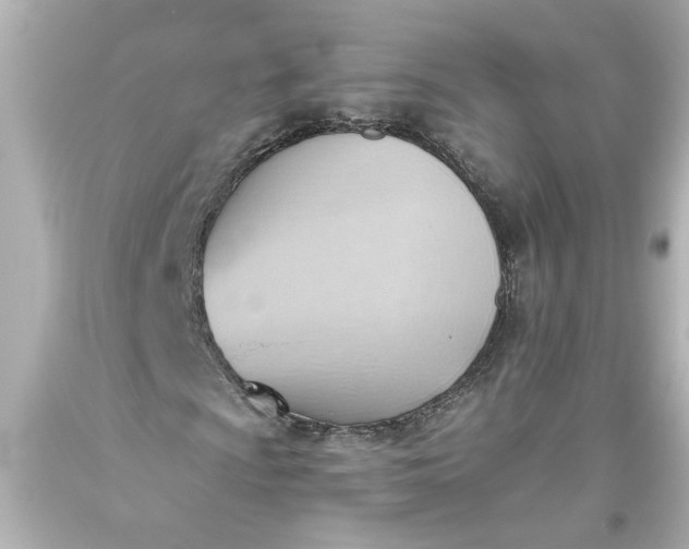 X0000093561009200710291014