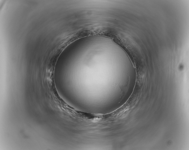 X0000093561010200710291014