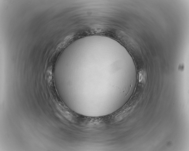 X0000093561011200710291014