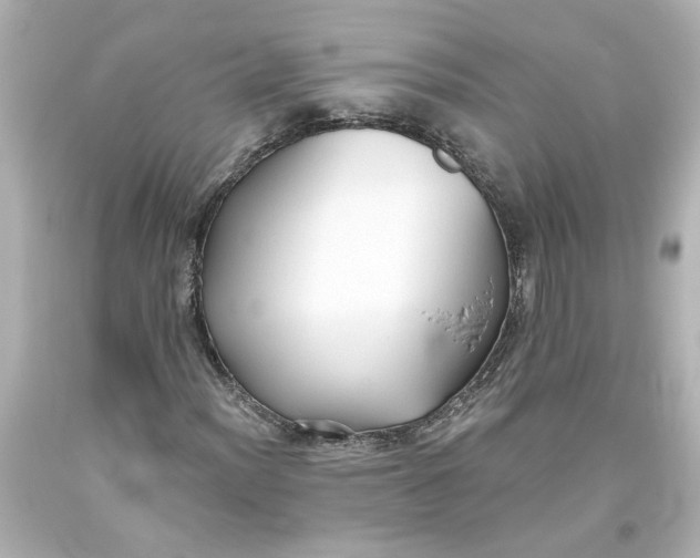 X0000093561012200710291014