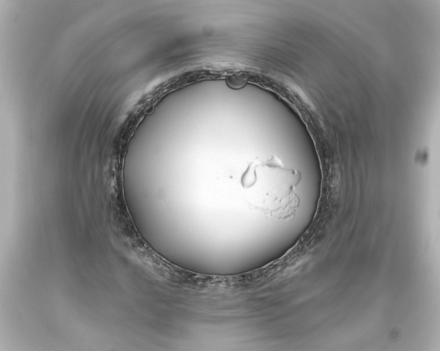 X0000093561016200710291014