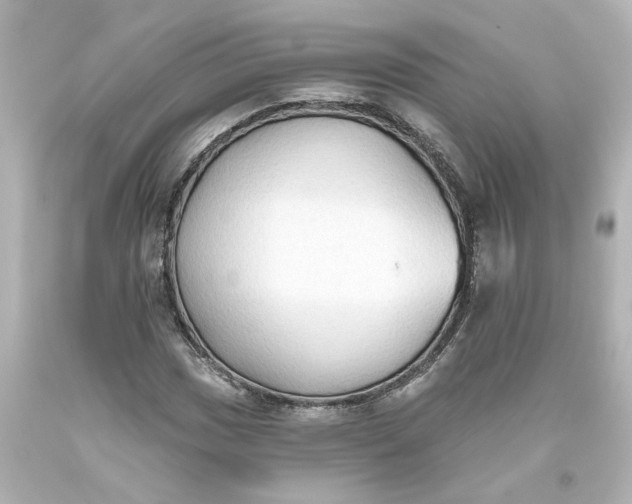 X0000093561017200710291014