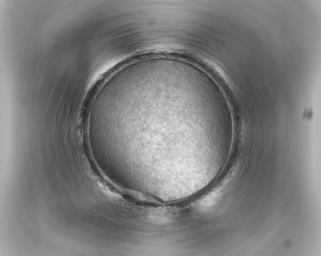 X0000093561018200710291014