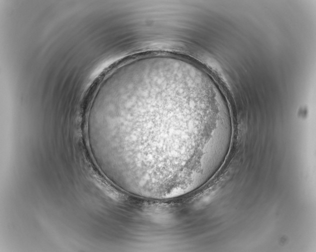 X0000093561019200710291014